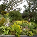 Coonagh Lodge B&B
